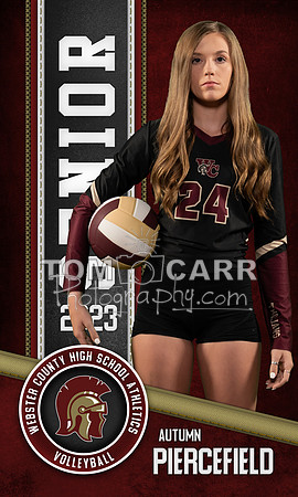 A.Piercefield_Volleyball_Banner