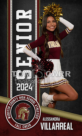 A.Villarreal Fall Cheer Banner