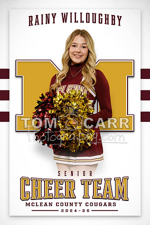 R.Willoughby Cheer Banner