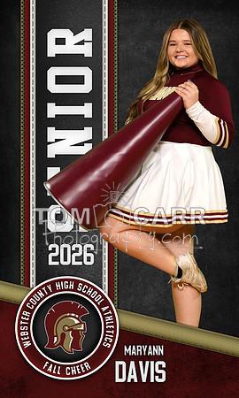 Davis Fall Cheer Bnr
