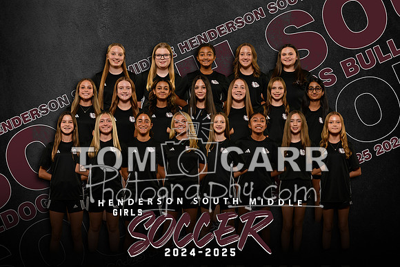 _HSMSGS_Team_2024