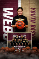 WCYB_Stone-JVG-110_MM