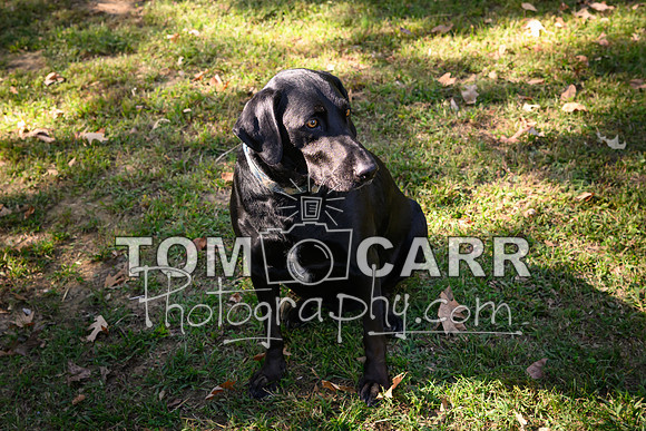 McCarty_102024-224