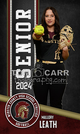 M.Leath Softball Banner
