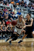 MCHSG_Basketball_021918-124