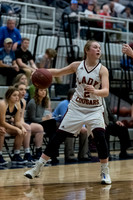 MCHSG_Basketball_021918-111