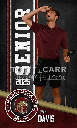 E.Davis Golf Banner