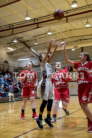 MCMSG_Basketball_110417-1-122