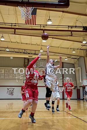MCMSG_Basketball_110417-1-128