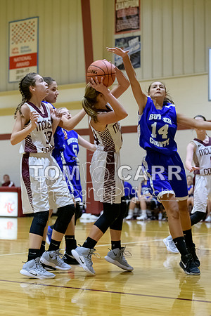 MCMSG8_Basketball_101818-119