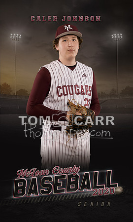 Johnson_Baseball_Banner