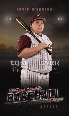 Wedding_Baseball_Banner