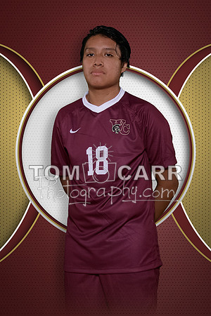 wchs_bs_2020-126