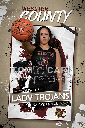 TCP_0378_Poster
