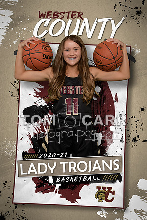 TCP_0381_Poster