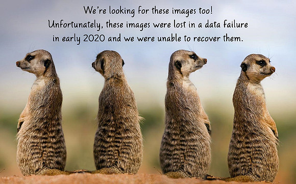 Lost Images