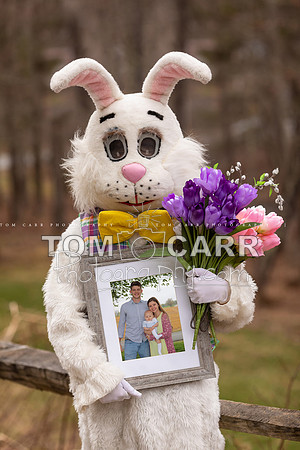 sample3