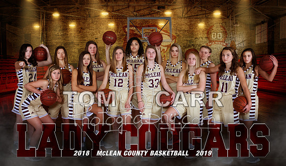 MCHSG_48x84_Team_Banner