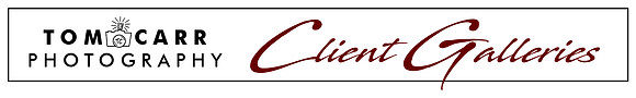 Zenfolio Banner Graphic
