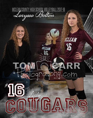 Laryssa_Senior_Poster