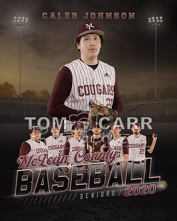 Johnson_16x20_Poster