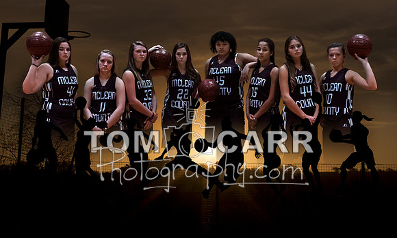 MCMS 2015 Players