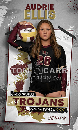 A.Ellis_Volleyball_Banner