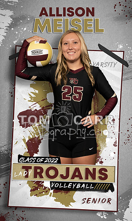 A.Meisel_Volleyball_Banner