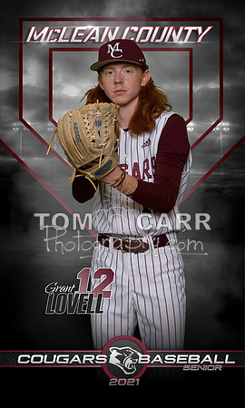 Lovell_MCHS_Baseball_Banner
