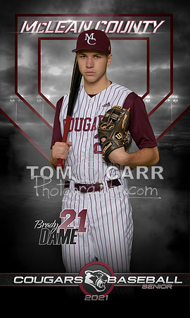 Dame_MCHS_Baseball_Banner