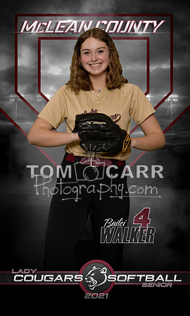 Walker_MCHS_Softball_Banner