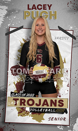 L.Pugh_Volleyball_Banner