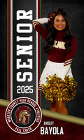 A.Bayola Fall Cheer Banner