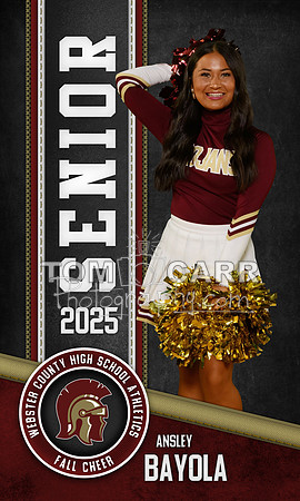 A.Bayola Fall Cheer Banner