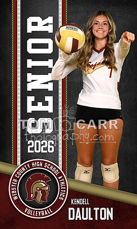 Daulton Volleyball Bnr