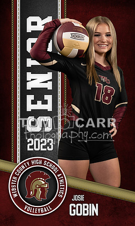 J.Gobin_Volleyball_Banner