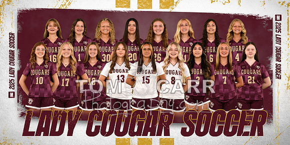 MCHS Soccer Team Banner