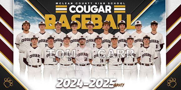 Baseball Team Banner