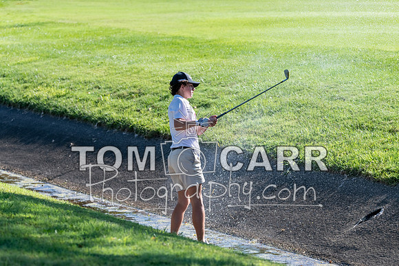 TCP_7486