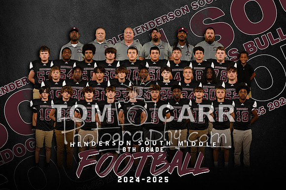 _HSMSF-8_Team_2024