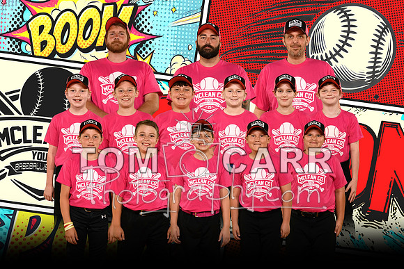 _MCYBS2025_Minor-Pi-Team