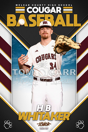 H.Whitaker Baseball Banner