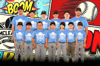 Edmonds Minor Blue
