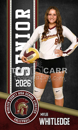 Whitledge Volleyball Bnr