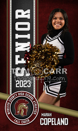 M.Copeland_Cheer_Banner