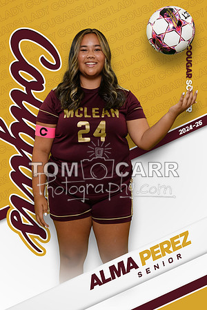 A.Perez Soccer Banner