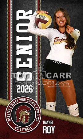 Roy Volleyball Bnr