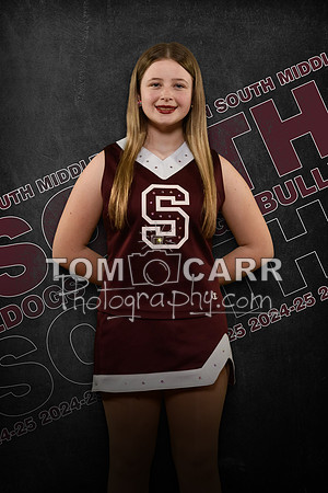 HSMSDT_020325-113