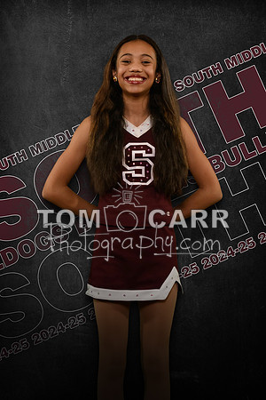 HSMSDT_020325-111