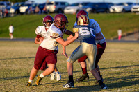 MCHSF-JV_100322-108